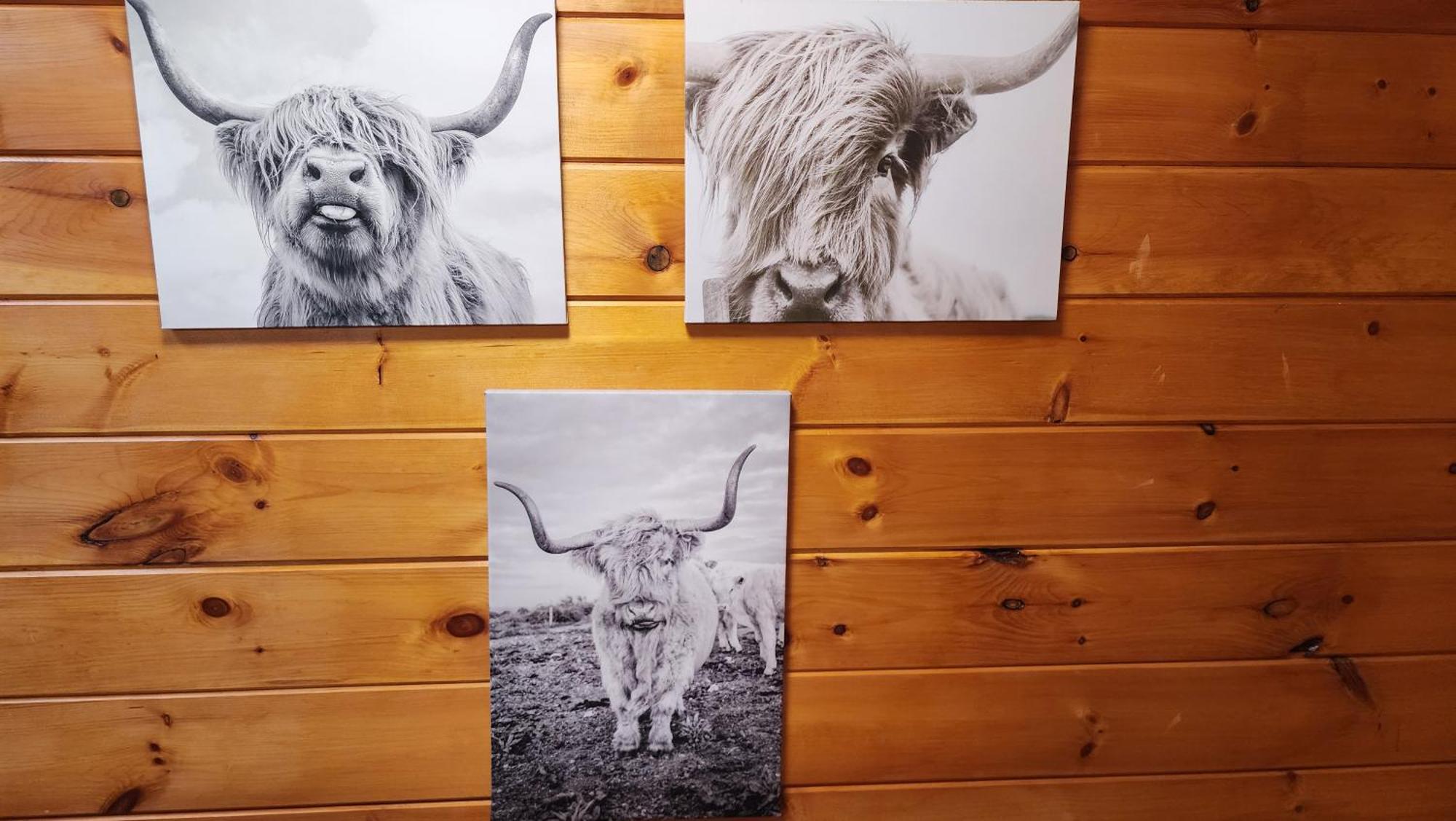 Lazy Bear Cabin Sevierville Ngoại thất bức ảnh